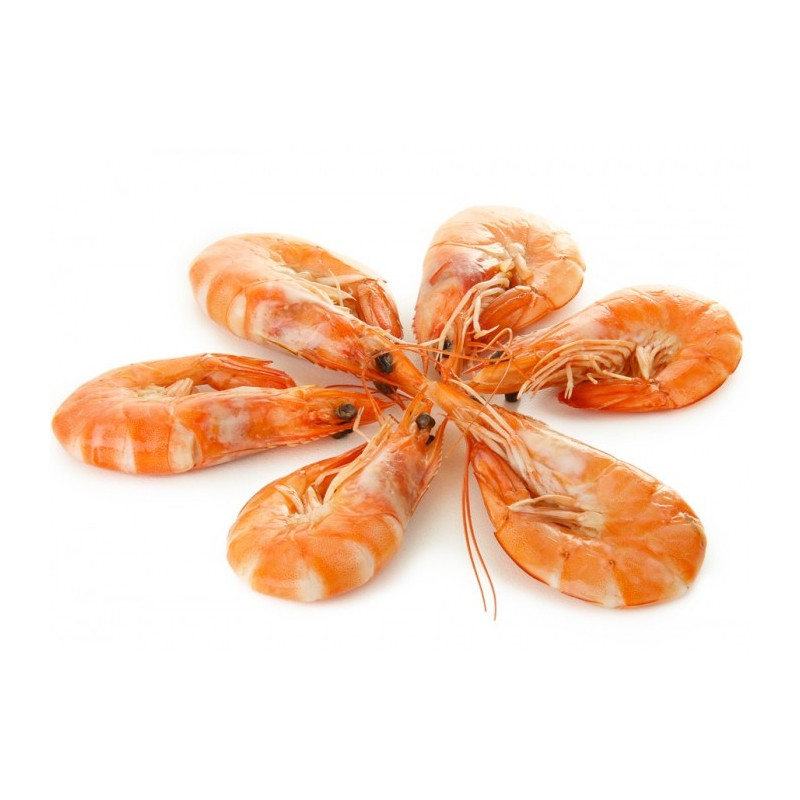 Crevettes roses - Barquette de 2kg