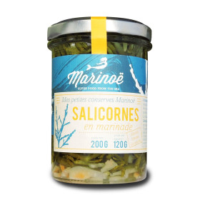 Salicorne en Marinade - Marinoë