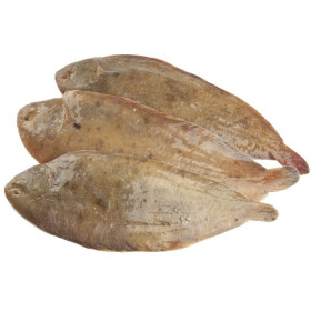 Sole - whole & emptied - 250g