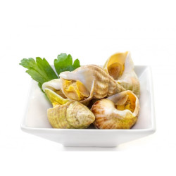 Cooked Whelks - 1kg
