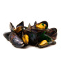 Mussels from Bréhat - 1kg