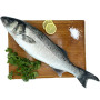 Wild sea bass - whole fish - 1.5kg