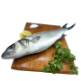 Wild sea bass - whole fish - 750g
