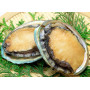 Wild Abalone - Ready to cook - 1kg