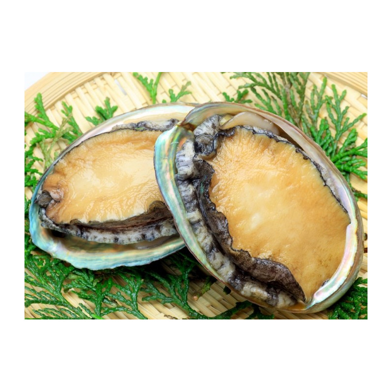 Wild Abalone - Ready to cook - 1kg