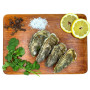 Hollow Oysters - Batch of 50