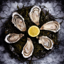 Hollow Oysters - Batch of 24
 Choisissez votre Taille-N°3