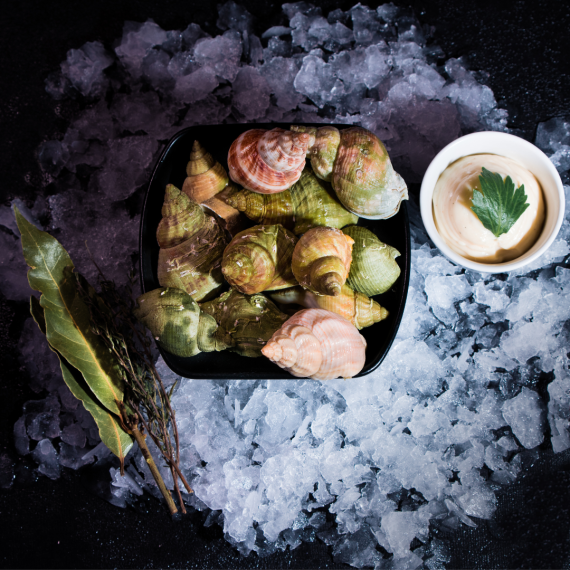 Live Whelks - 500g