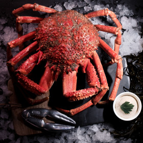 Spider Crab - Cooked - 1kg