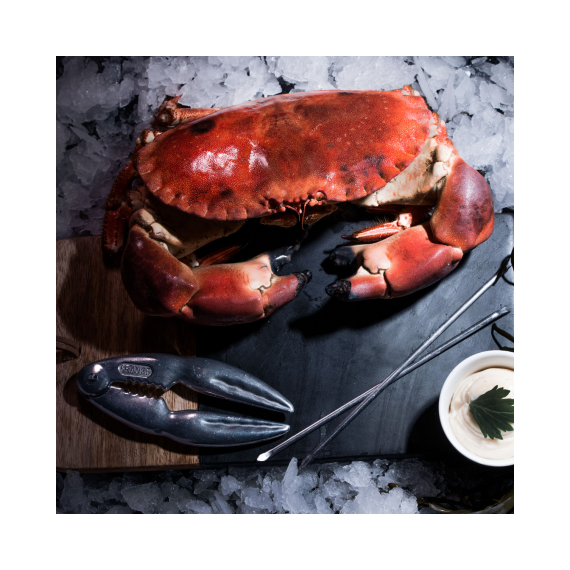 Crab from Brittany - Cooked