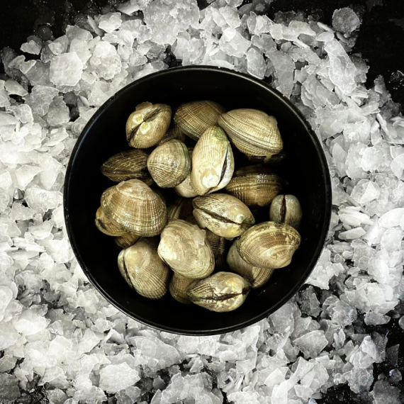 Clams from Brittany - Live - 1kg