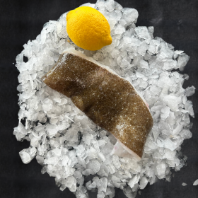 Brill fillets - 600g