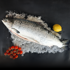 RED LABEL SCOTTSH SALMON – Whole fish 3KG