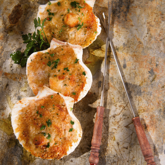 Scallops  - LIVE - 1kg
