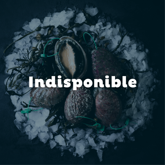 copy of Wild Abalone - Live - 1kg