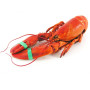Lobster - From Brittany - Cooked 700g