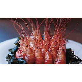 Red Shrimps - From Brittany - 200g