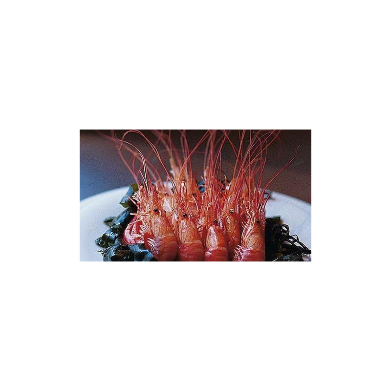 Red Shrimps - From Brittany - 200g