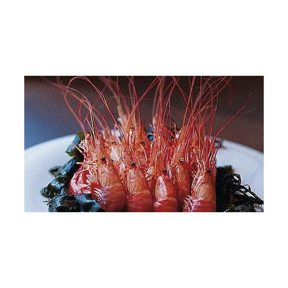 Red Shrimps - From Brittany - 400g