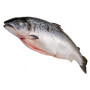 Saumon écossais label rouge - vidé - Pièce de 3kg