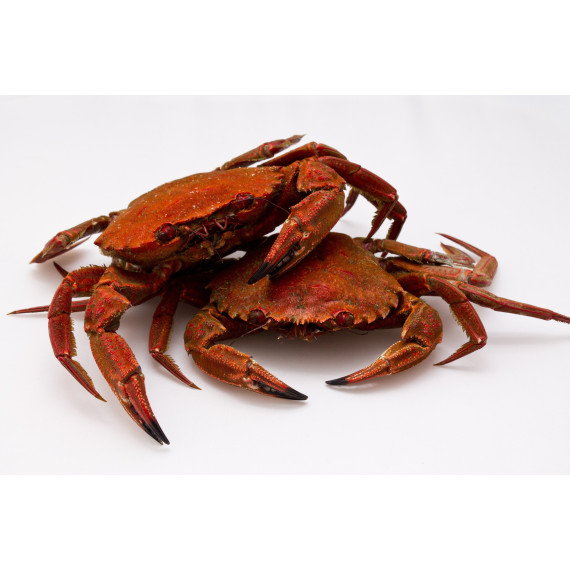 Velvet Swimming Crab - Cooked - 1kg