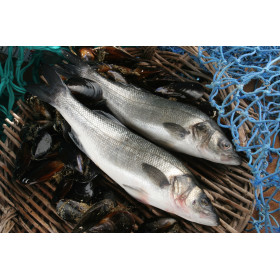 Wild sea bass - whole fish - 1kg
