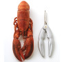 Lobster - From Brittany - Cooked 500g