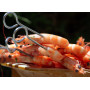 Pink Shrimps - Cooked - 500g