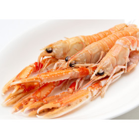 Scampi - From Brittany - Cooked 500g