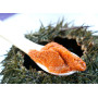 Sea urchin coral - 50g