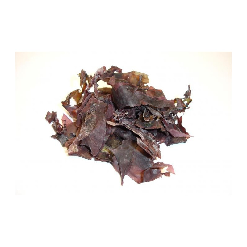 Dulse déshydratée en feuilles - BIO - Les Algues Gastronomes
