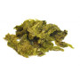 Laitue de mer déshydratée en feuilles - BIO - Les Algues Gastronomes