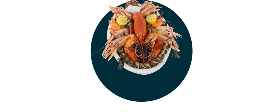 Buy Shellfish from Brittany - Best products, small prices with Luximer