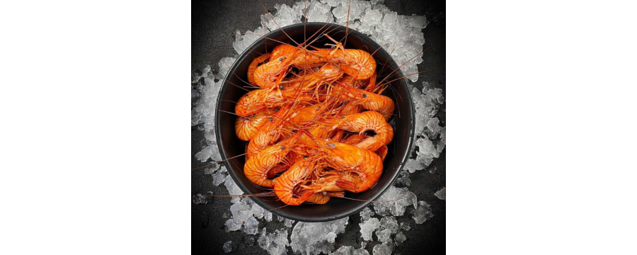 Buy Red Breton Shrimp, Next day delivery and high quality with Luximer