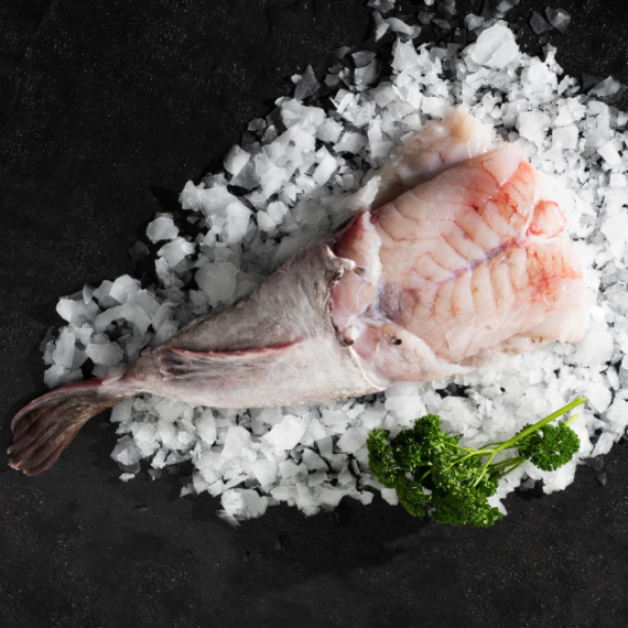 Monkfish