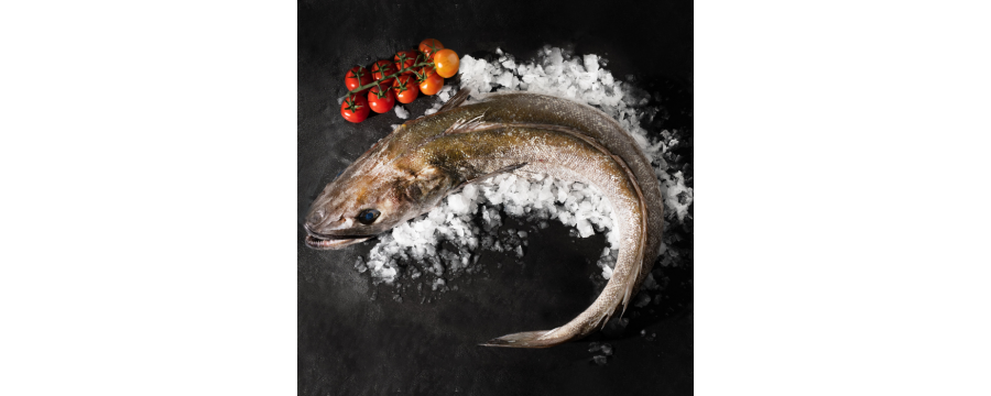Hake Hake