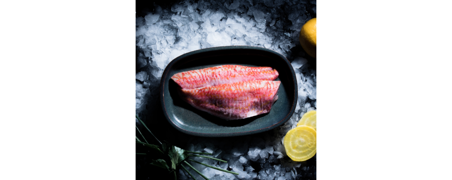 Vente en ligne de poissons frais, filets de poissons frais expédié en 24h
