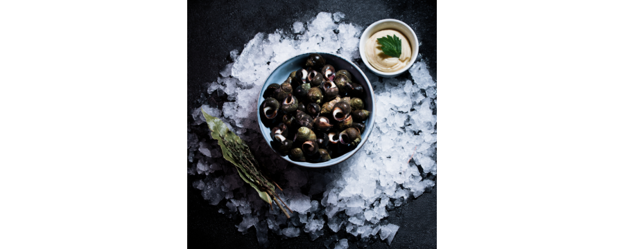 Winkles from Brittany - Buy freshly caught winkles, quick delivery