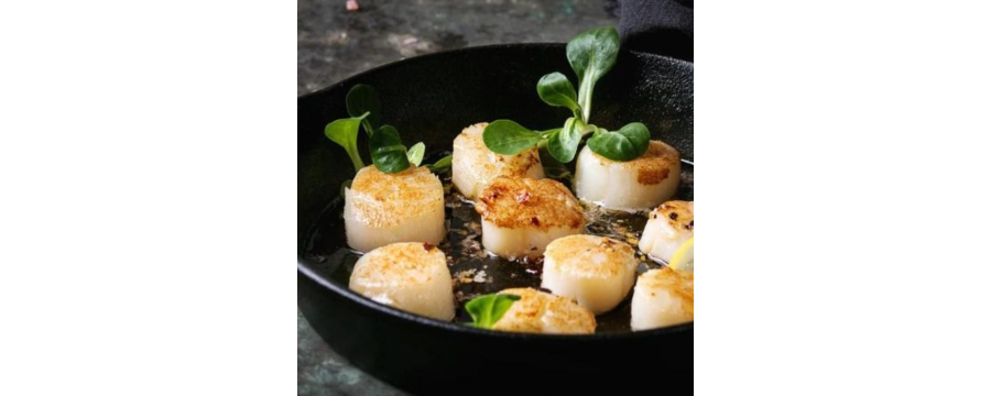 Fresh Scallop from Birttany - Buy freshly caught scallops high quality