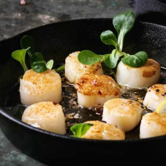 Scallops From Brittany