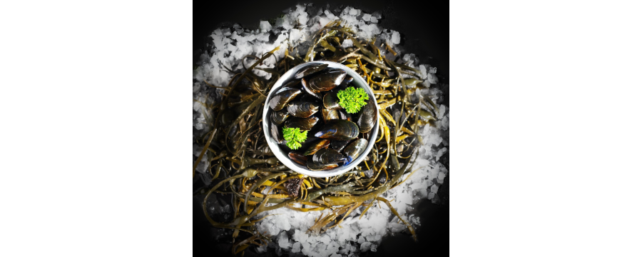 Moules de Brehat - achat vente moules de bretagne livraison domicile