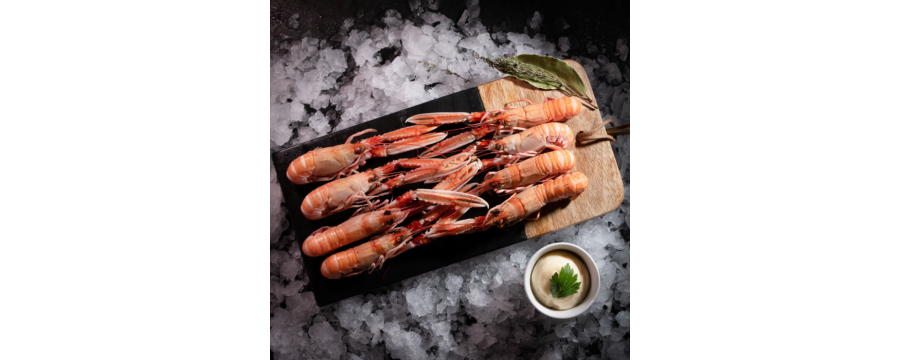 Buy Scampi from Brittany - Fresh product delivered to your door in 24h