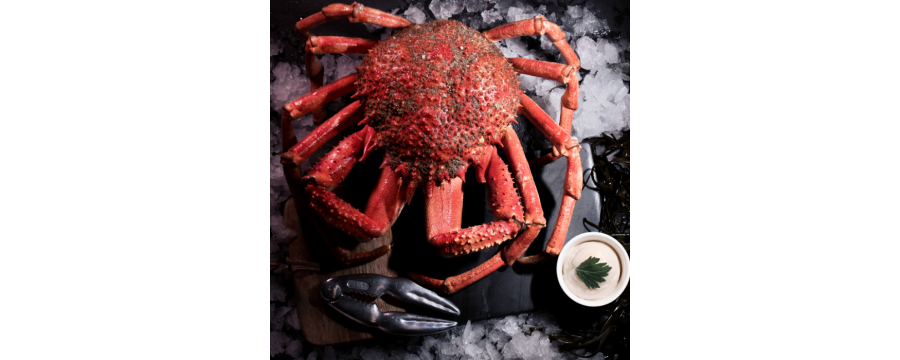 Buy Spider Crab from Brittany - Fresh sea food delivery within 24h !
