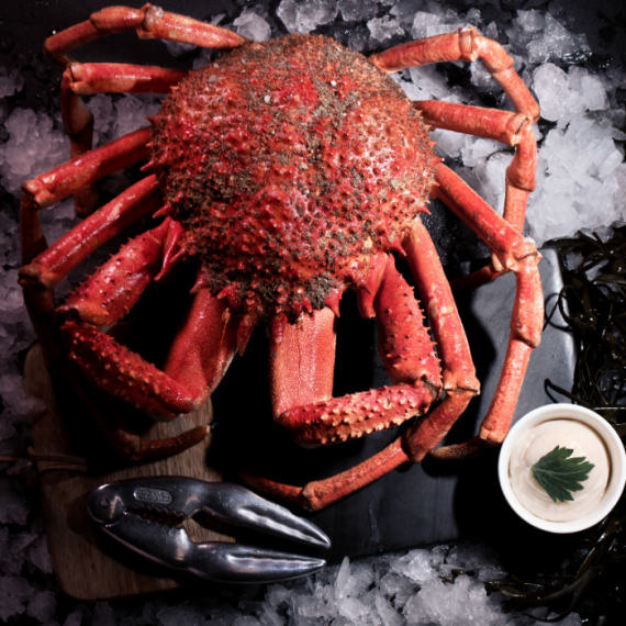 Araignée de mer