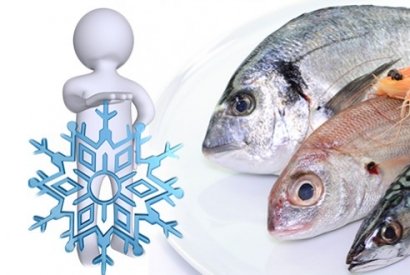 Comment conserver et congeler vos poissons et fruits de mer