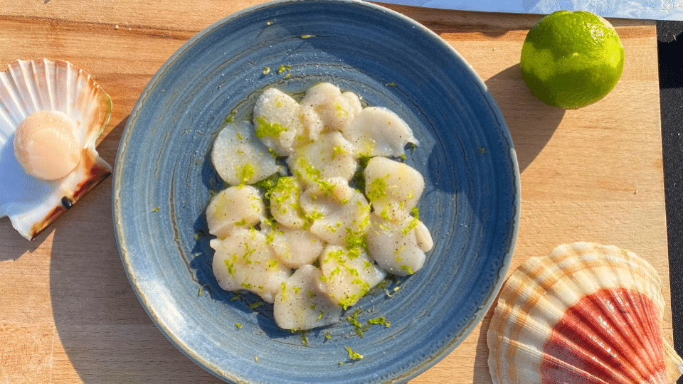 Scallop carpaccio recipe!