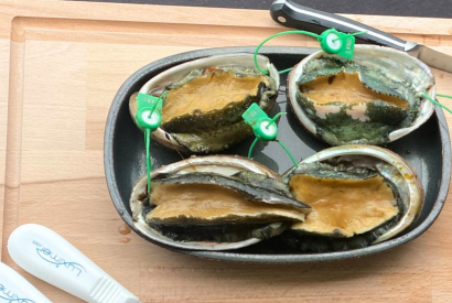 Tutorial: How to prepare abalone? 
