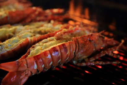 Homard grillé au beurre d’ail