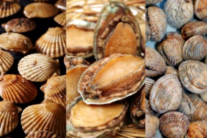 Les poissons et les fruits de mer d'Octobre chez Luximer